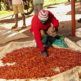 Kenya Kiamutuira
