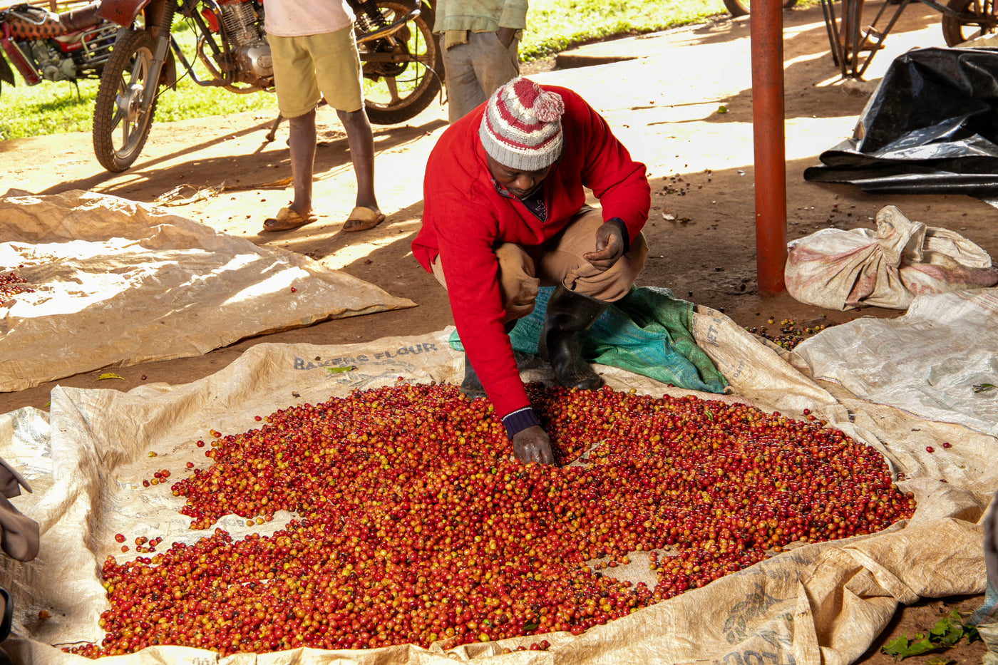 Kenya Kiamutuira